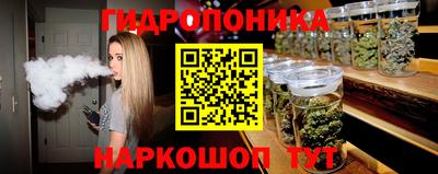 индика Краснознаменск