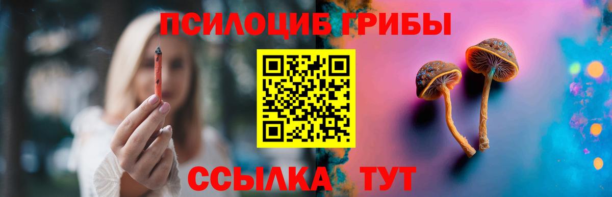 Зеленогорск  Псилоцибиновые грибы Psilocybe  Вход с VPN 